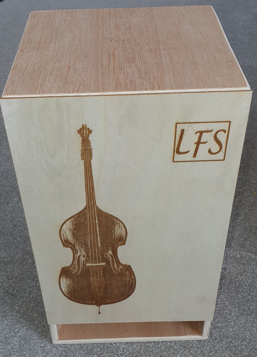 VIOL 6 Double Bass Amp